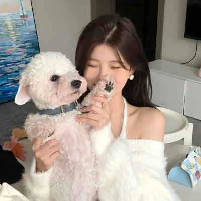 萌探探探案