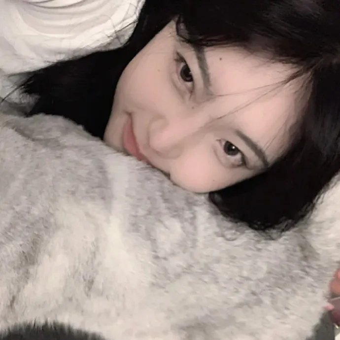芭比与姐妹之赛马记
